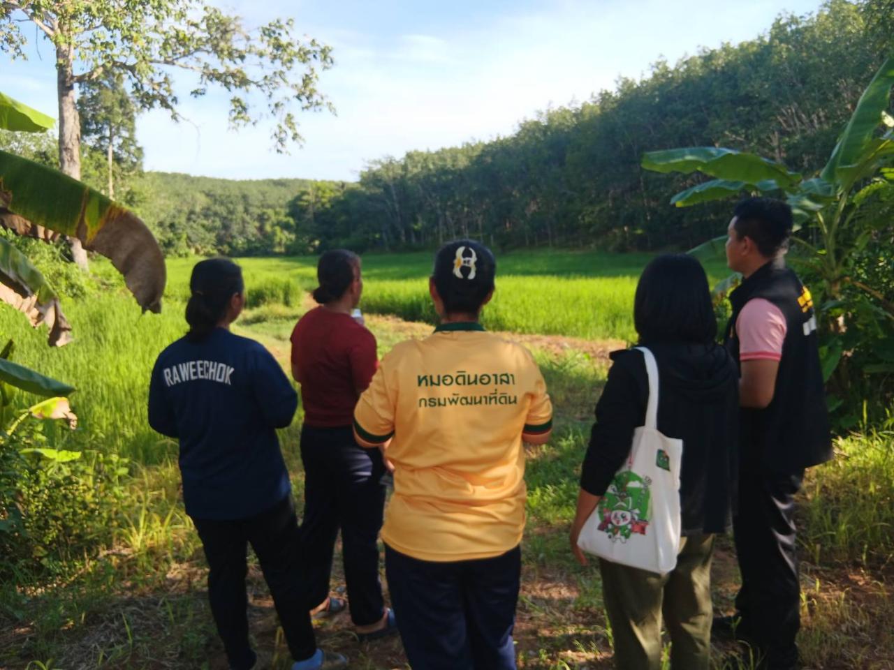 ภาพประกอบที่ 11