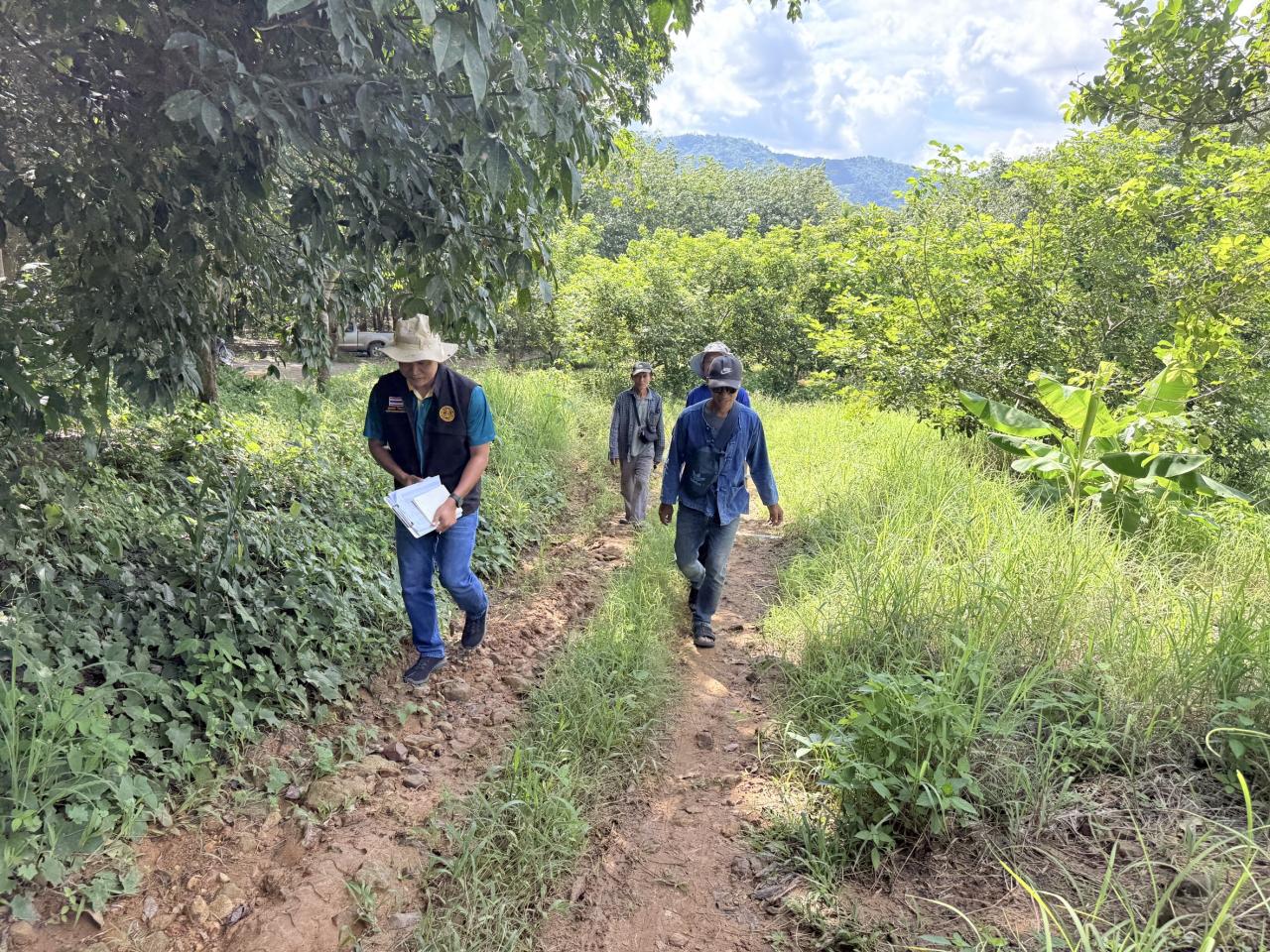 ภาพประกอบที่ 4