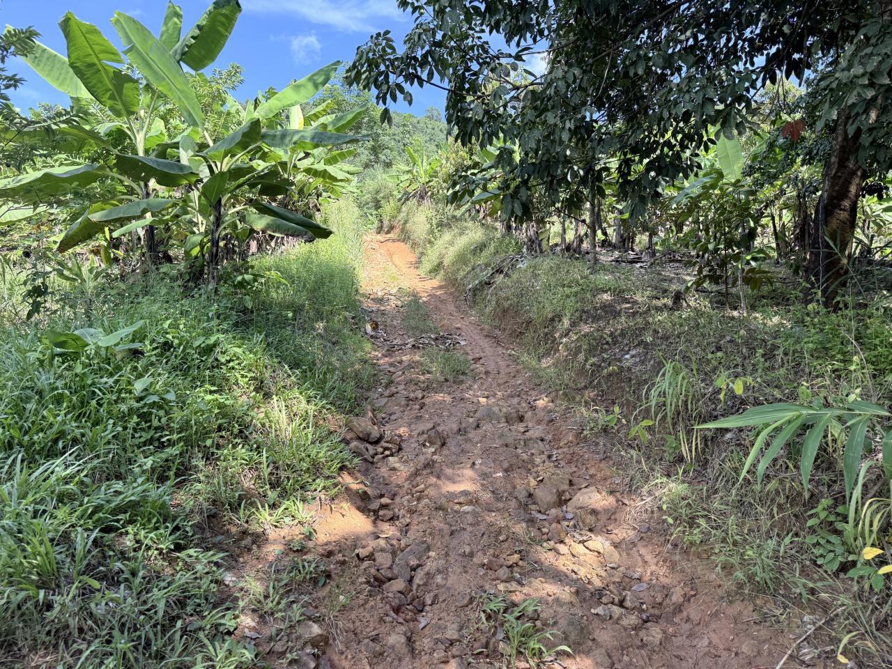 ภาพประกอบที่ 5