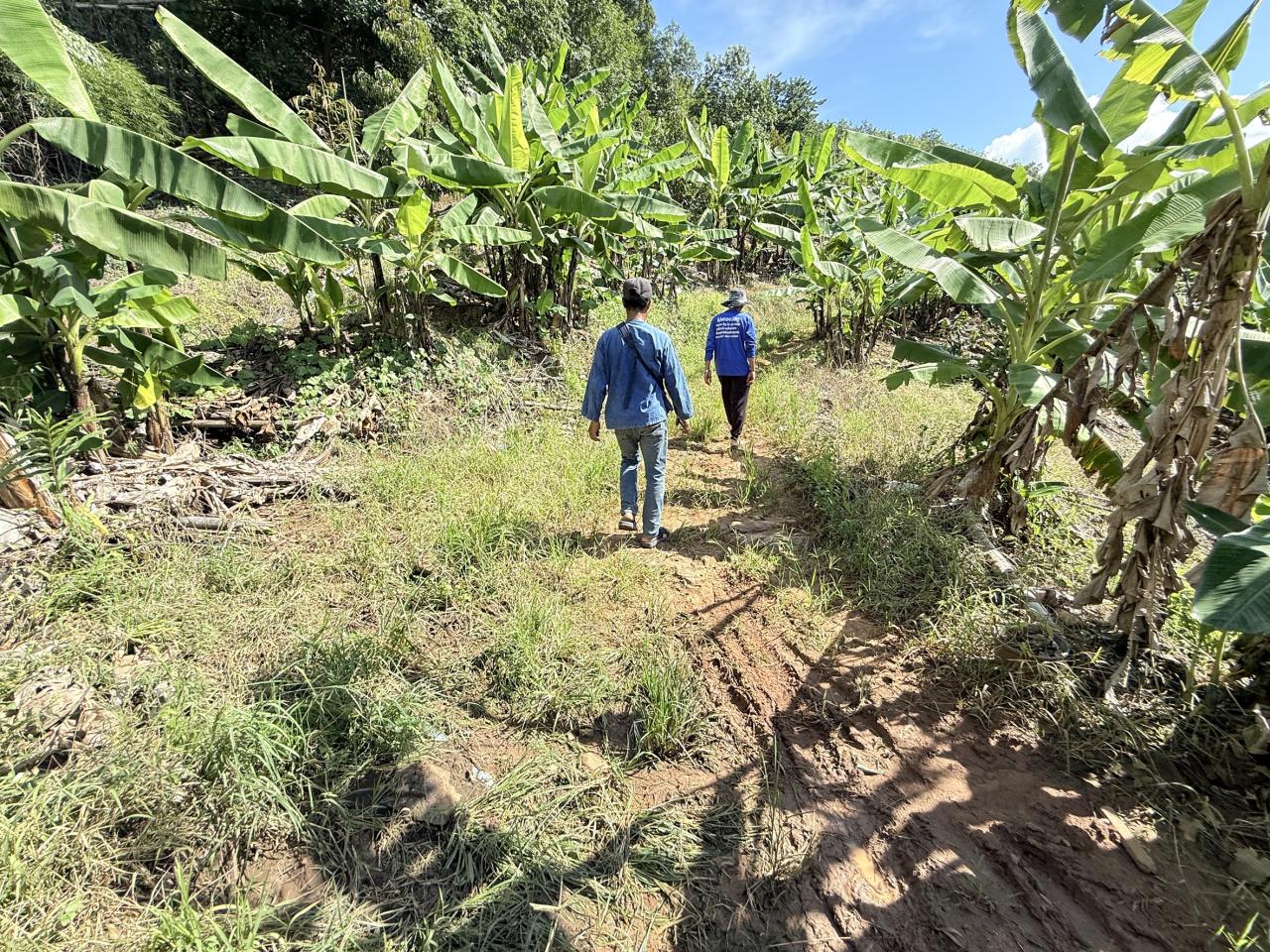 ภาพประกอบที่ 6