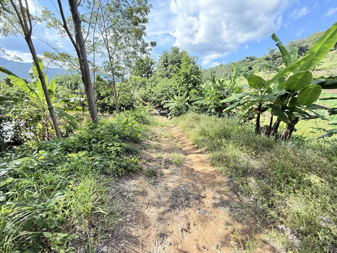 ภาพประกอบที่ 7