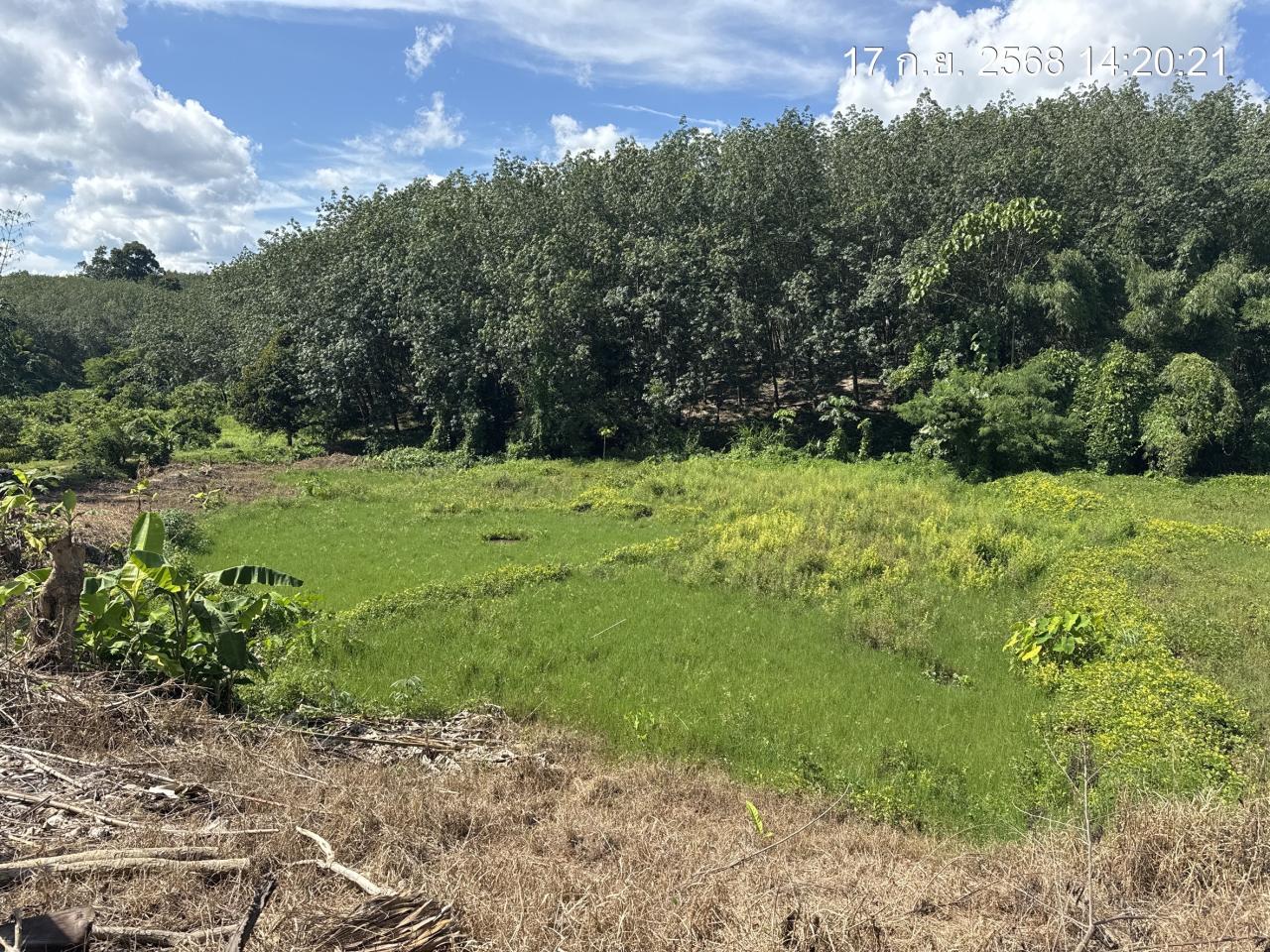 ภาพประกอบที่ 10