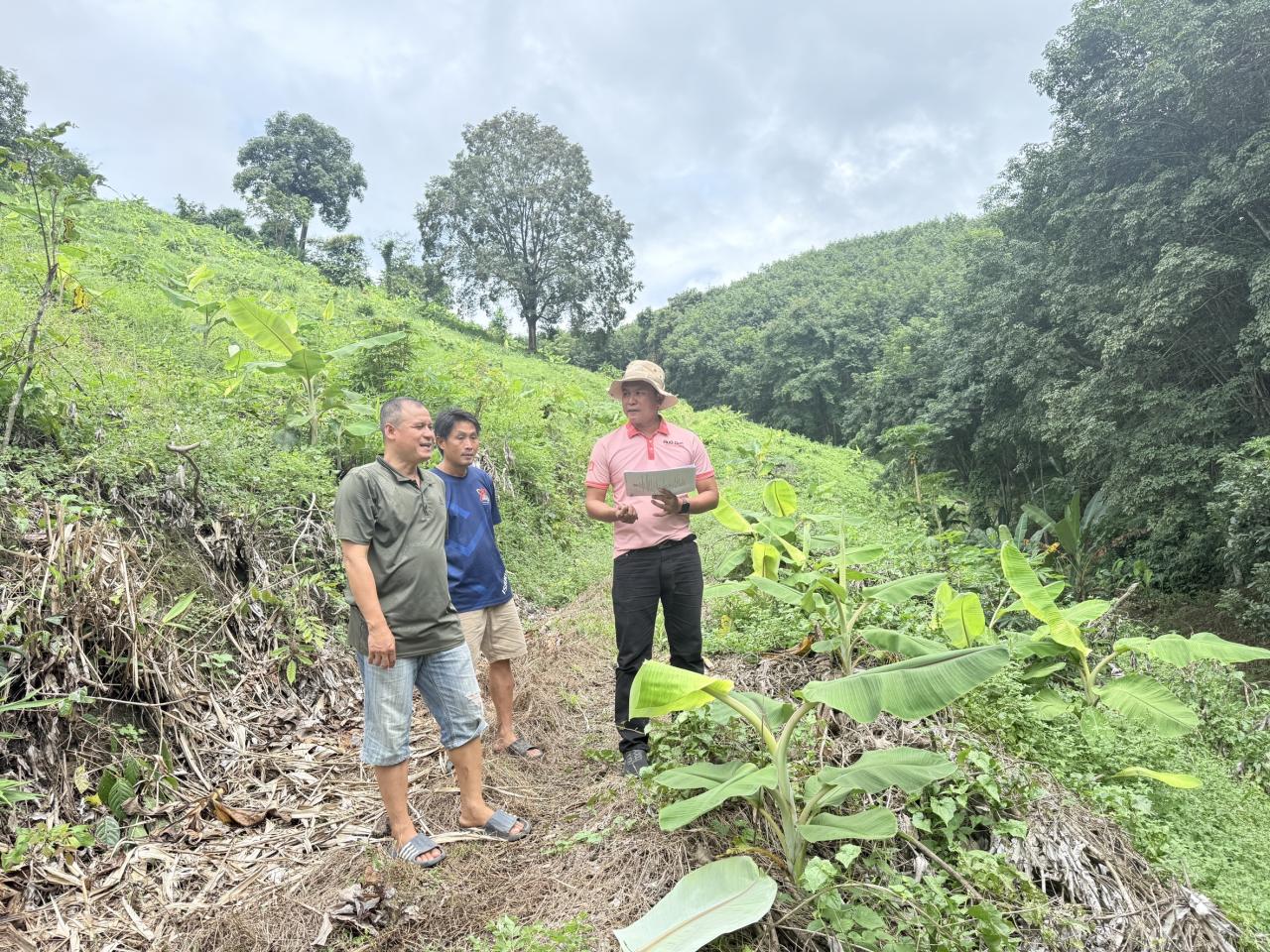 ภาพประกอบที่ 0
