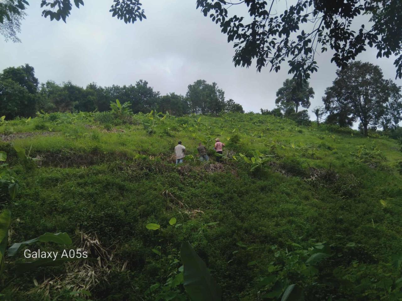 ภาพประกอบที่ 3