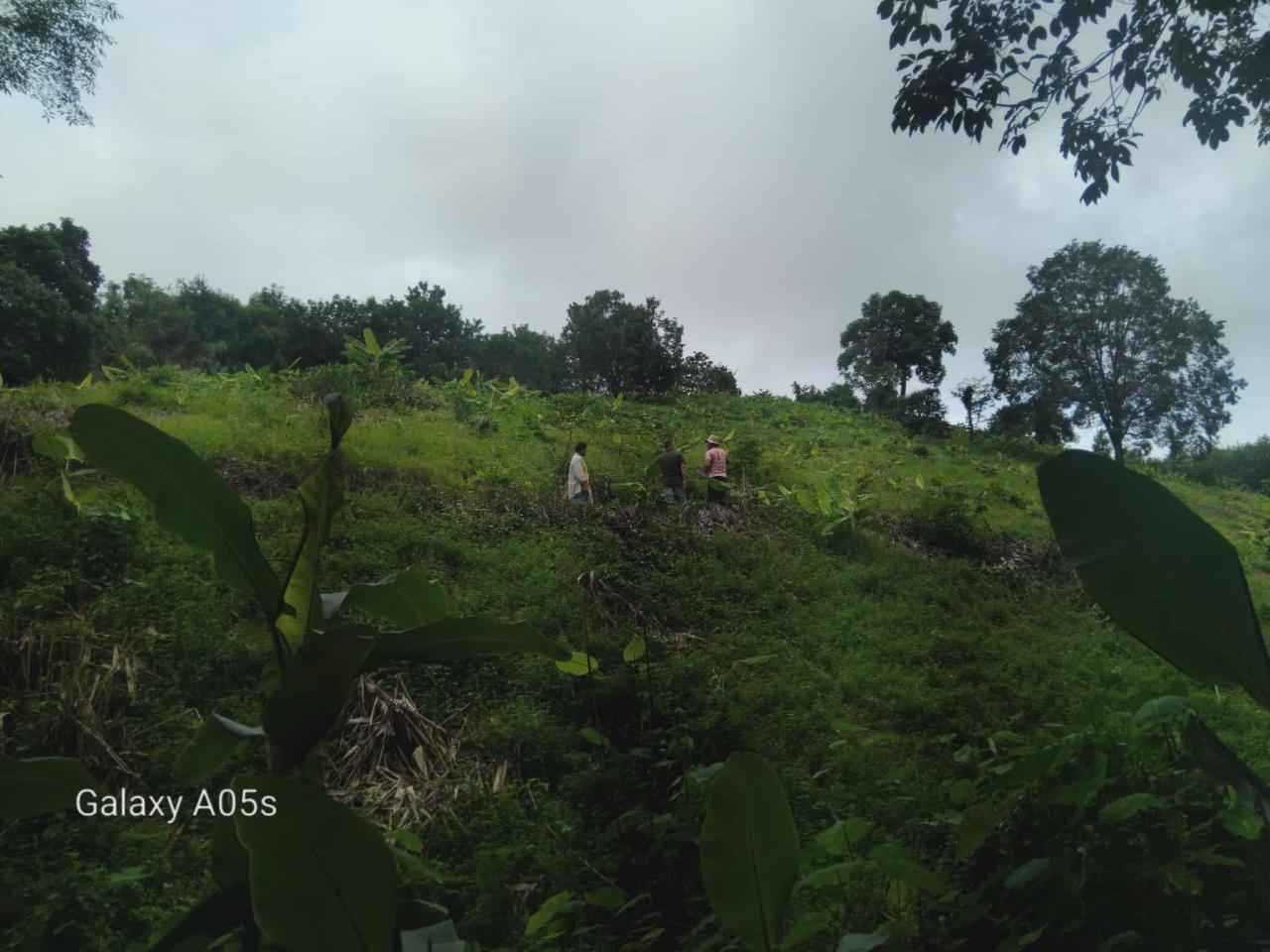 ภาพประกอบที่ 9