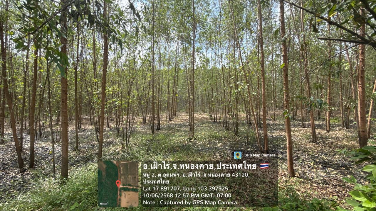 ภาพประกอบที่ 14