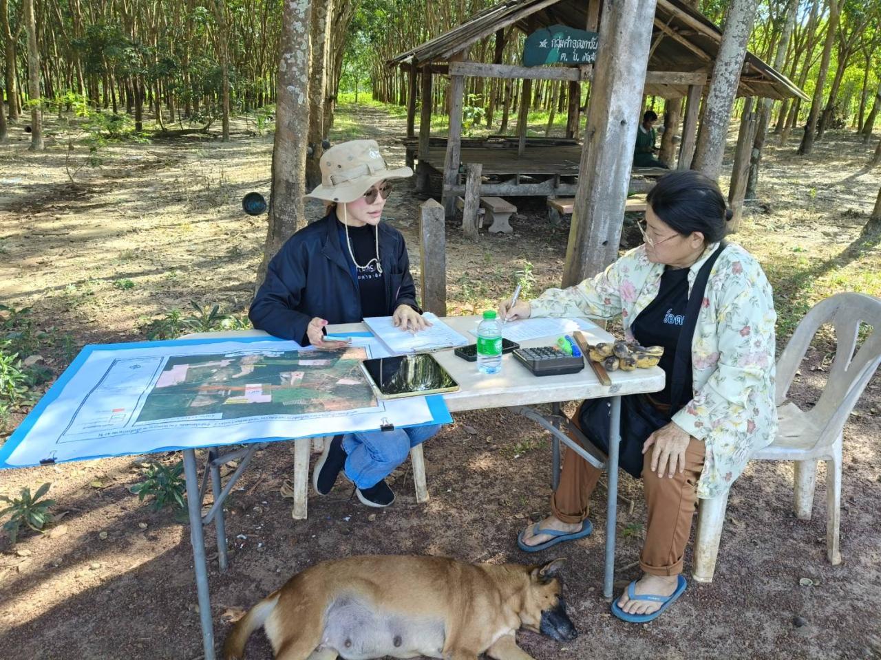 ภาพประกอบที่ 13