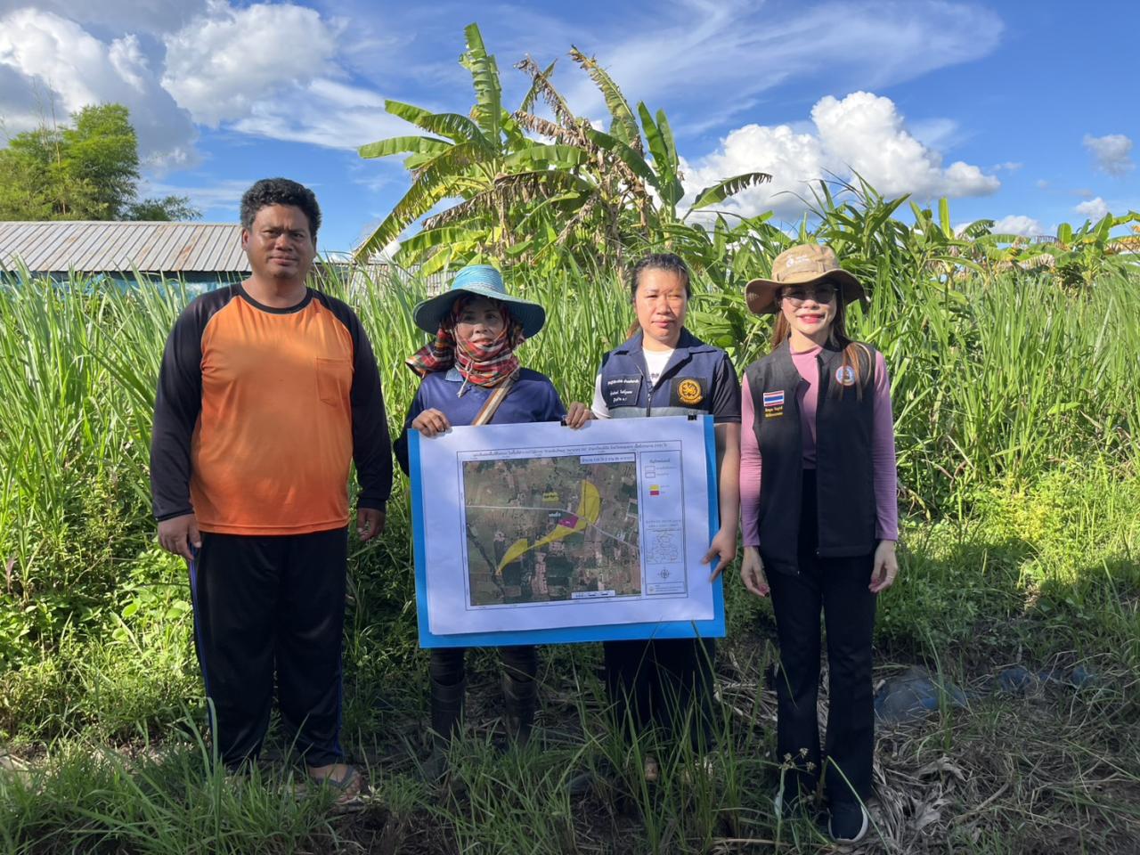 ภาพประกอบที่ 12