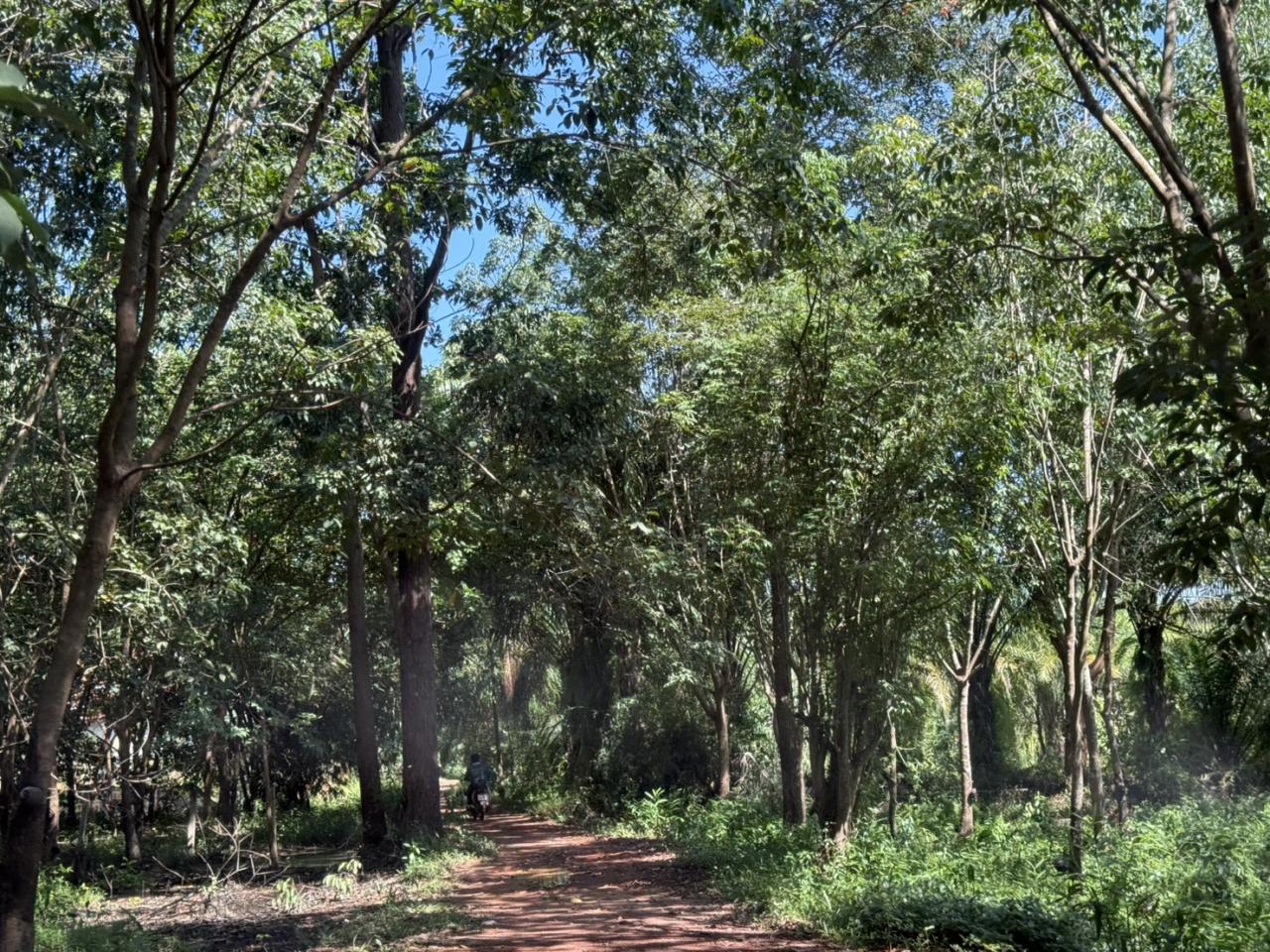 ภาพประกอบที่ 8