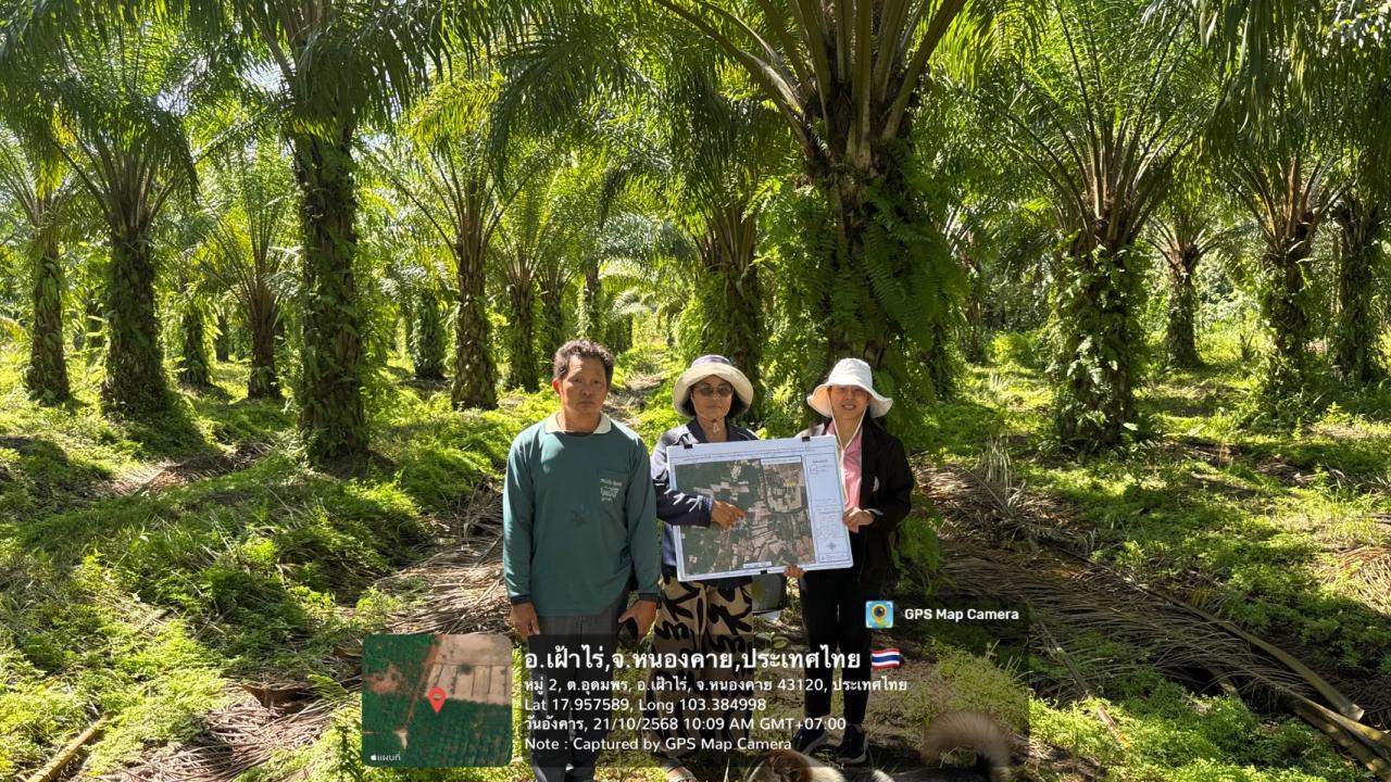 ภาพประกอบที่ 10