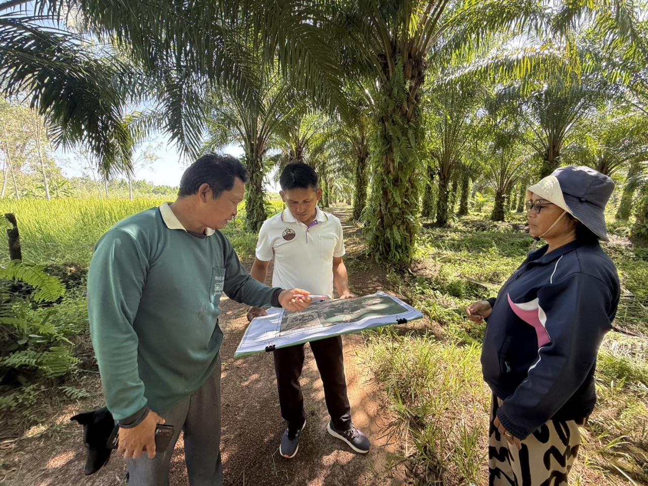 ภาพประกอบที่ 11