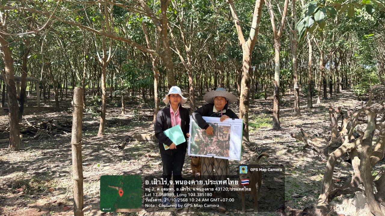 ภาพประกอบที่ 12