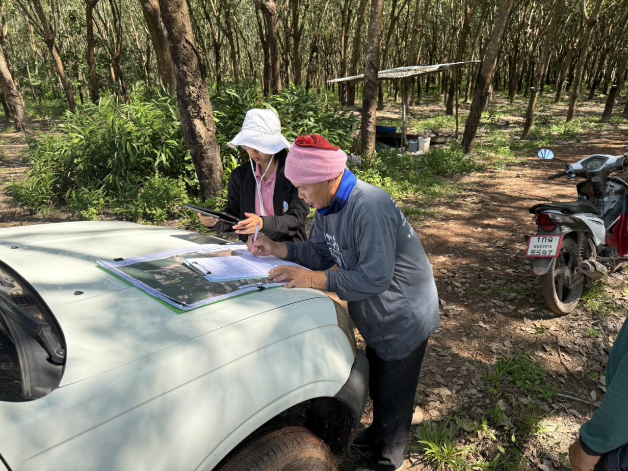 ภาพประกอบที่ 13