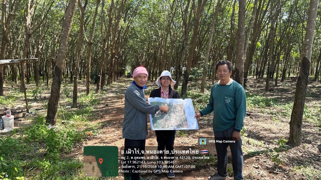 ภาพประกอบที่ 15