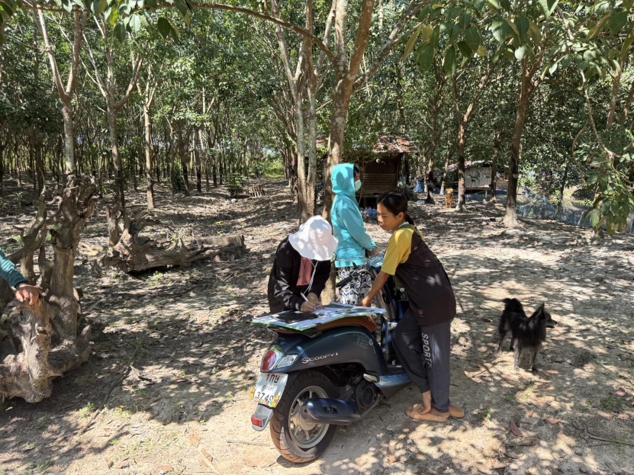 ภาพประกอบที่ 18