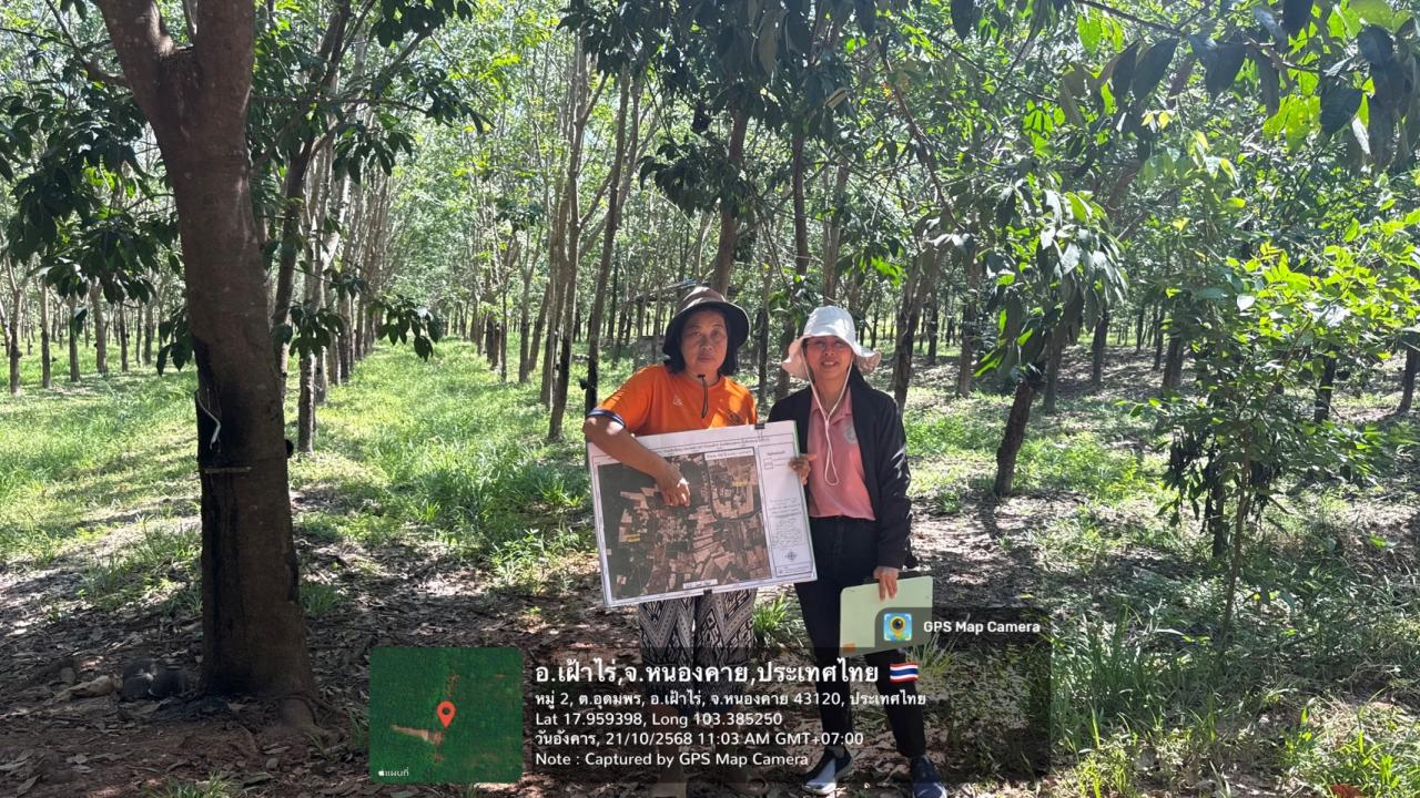 ภาพประกอบที่ 19