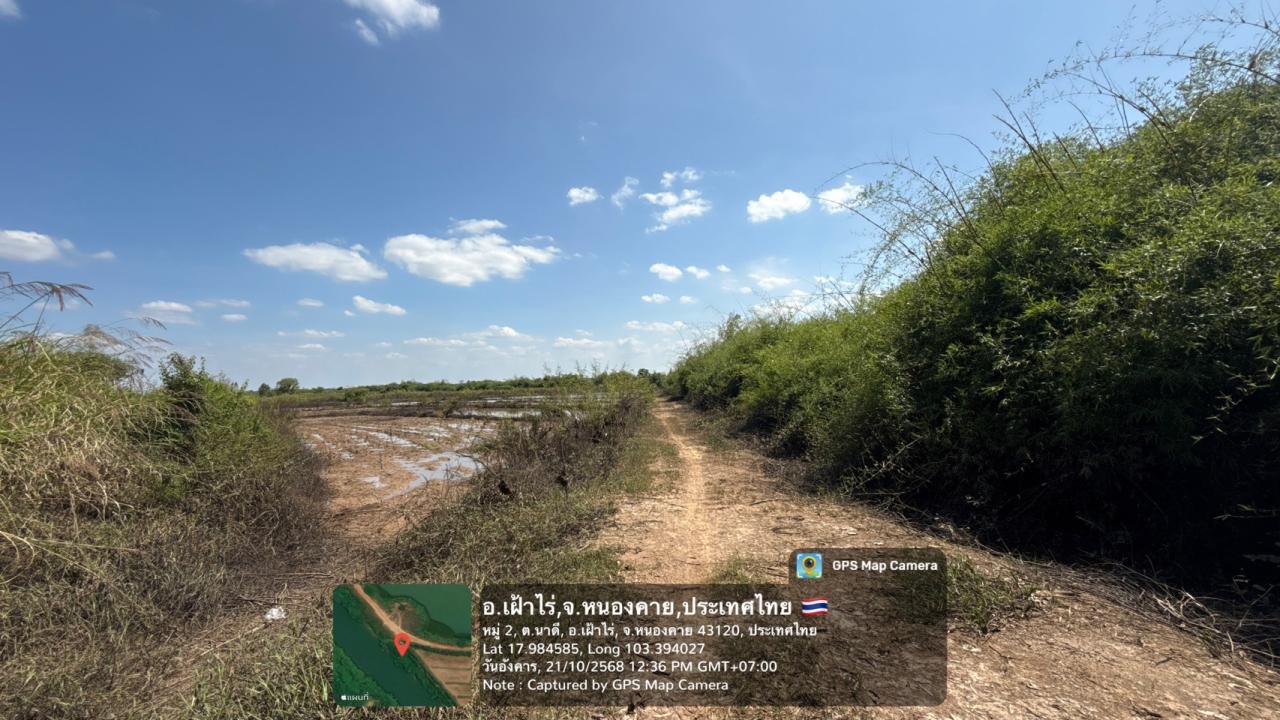 ภาพประกอบที่ 23