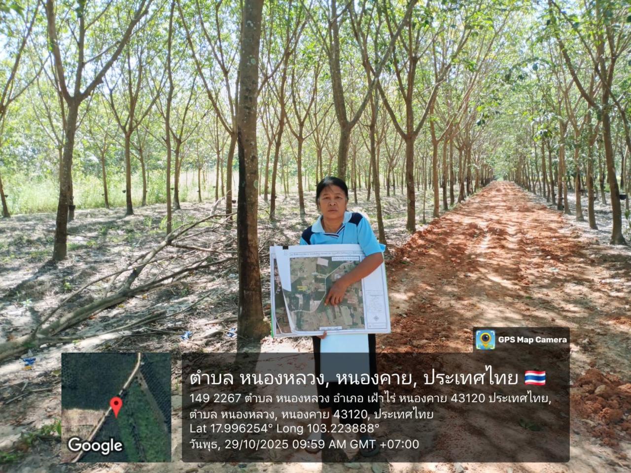 ภาพประกอบที่ 8