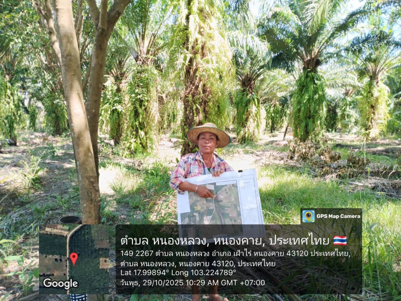 ภาพประกอบที่ 11