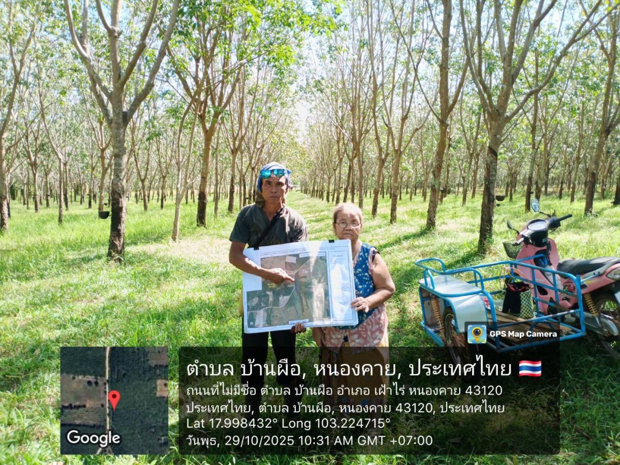 ภาพประกอบที่ 12