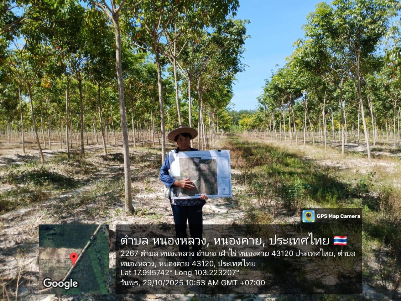 ภาพประกอบที่ 14