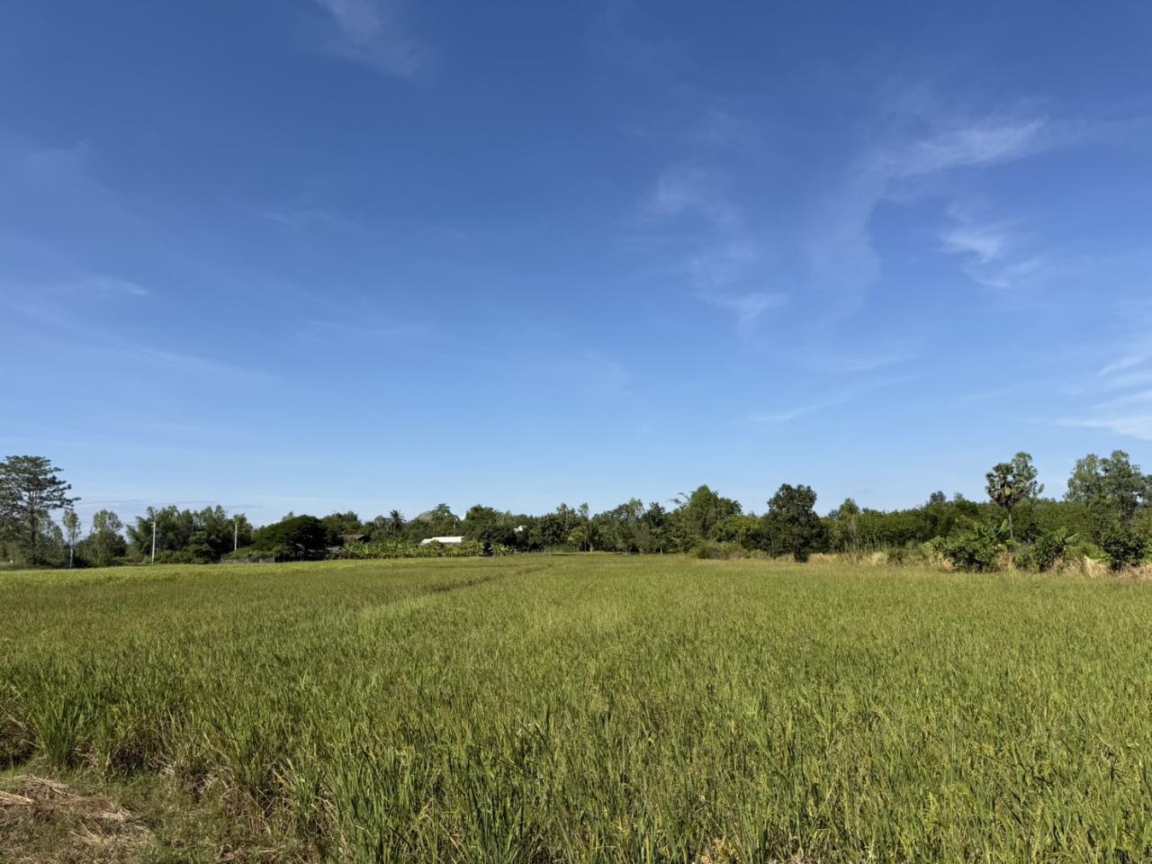 ภาพประกอบที่ 19