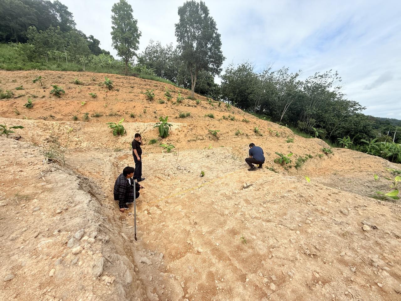 ภาพประกอบที่ 5