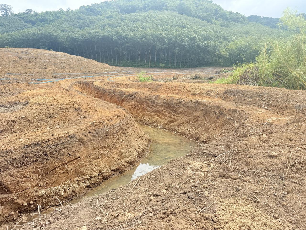 ภาพประกอบที่ 8