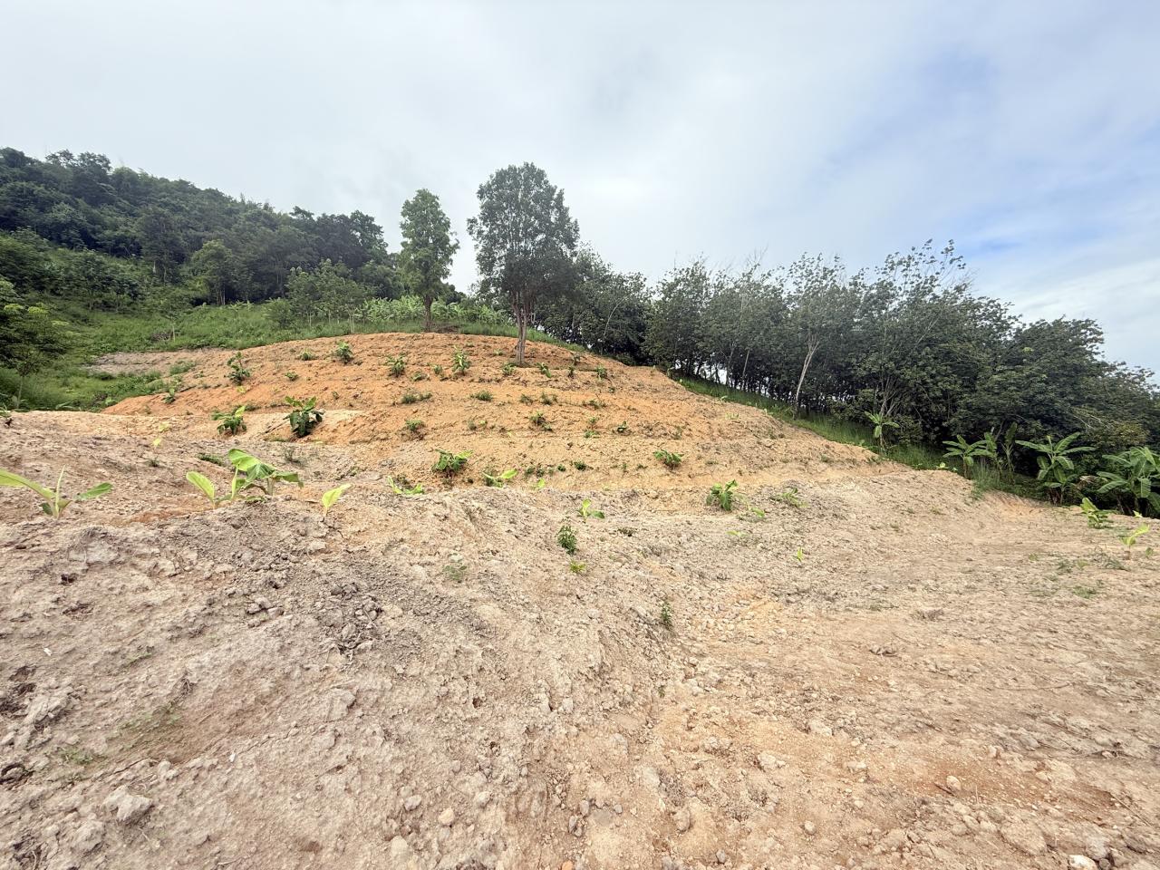 ภาพประกอบที่ 10