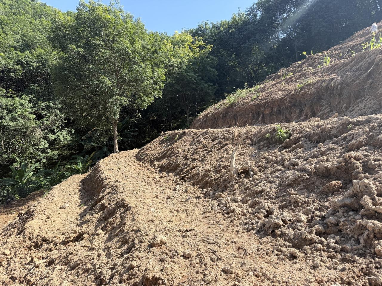 ภาพประกอบที่ 11