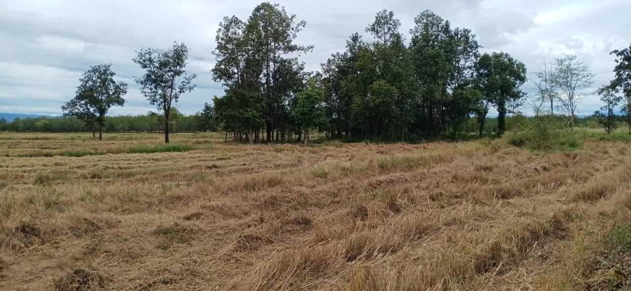 ภาพประกอบที่ 20