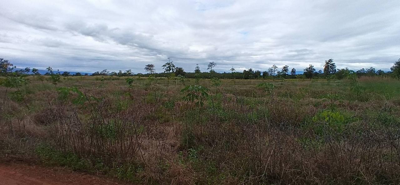 ภาพประกอบที่ 22