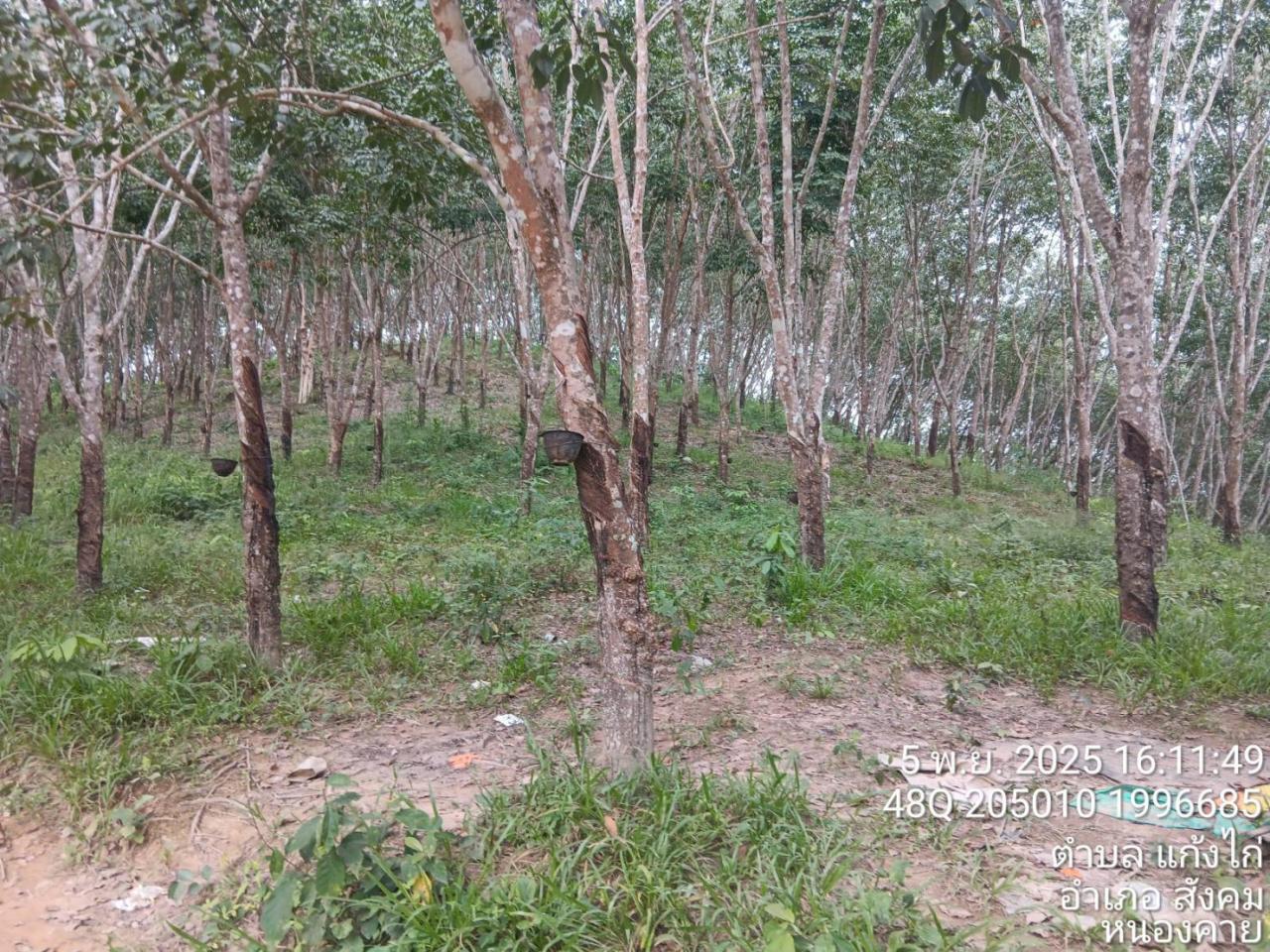 ภาพประกอบที่ 6