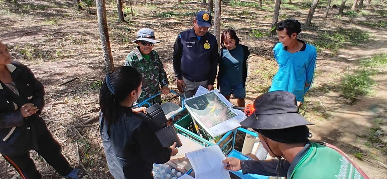 ภาพประกอบที่ 7