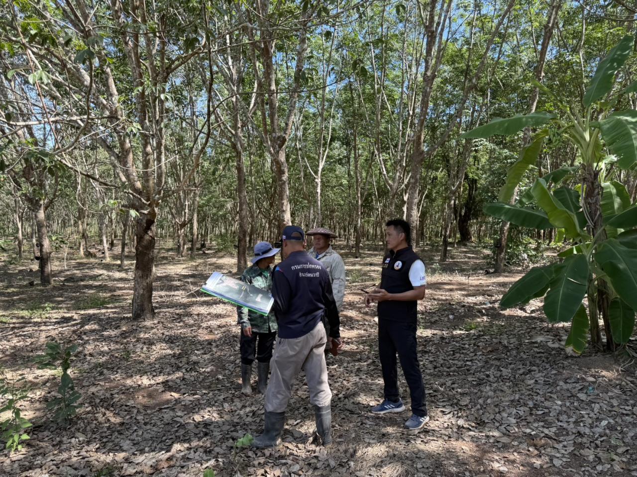 ภาพประกอบที่ 10