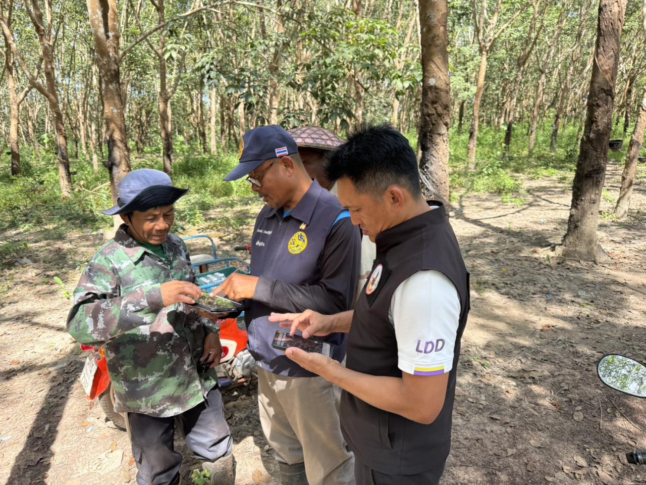 ภาพประกอบที่ 11