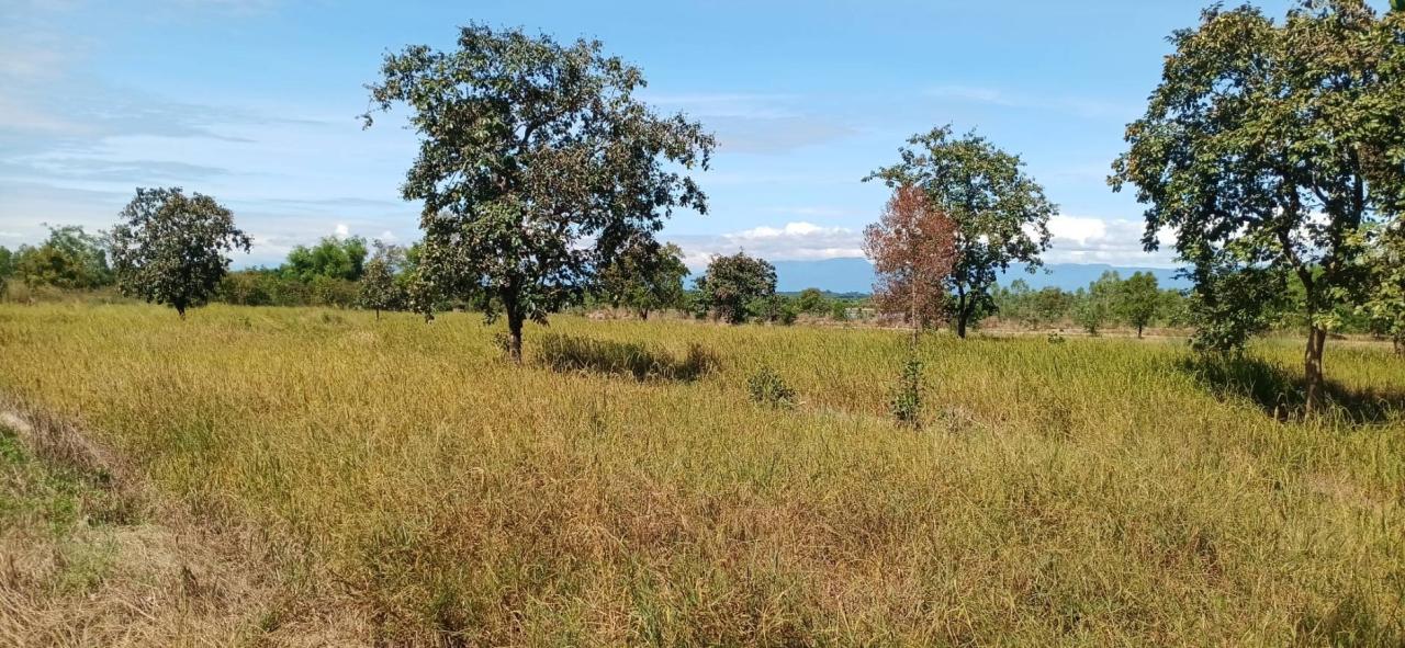 ภาพประกอบที่ 18