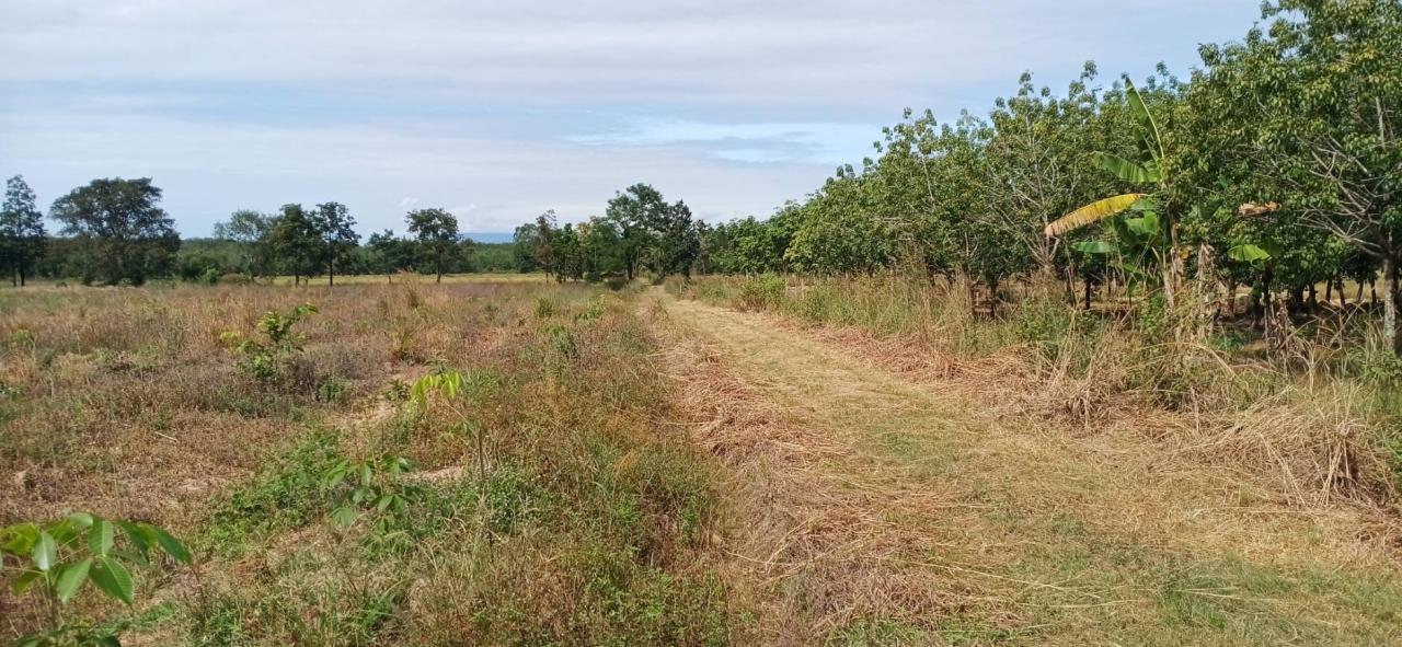 ภาพประกอบที่ 20