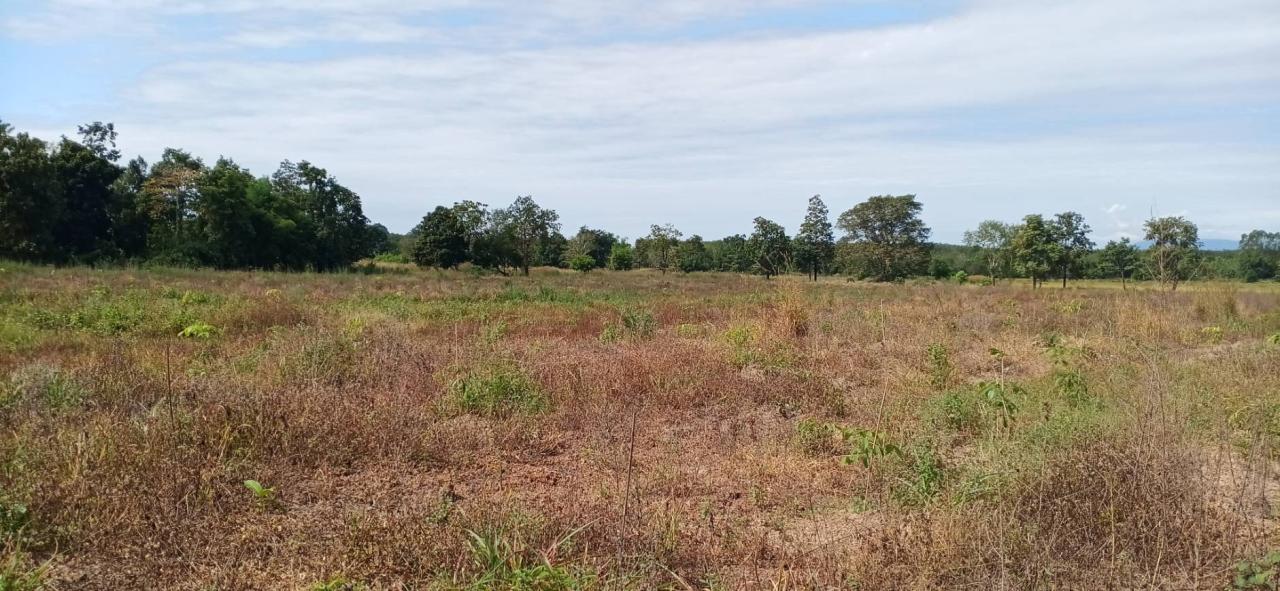 ภาพประกอบที่ 21