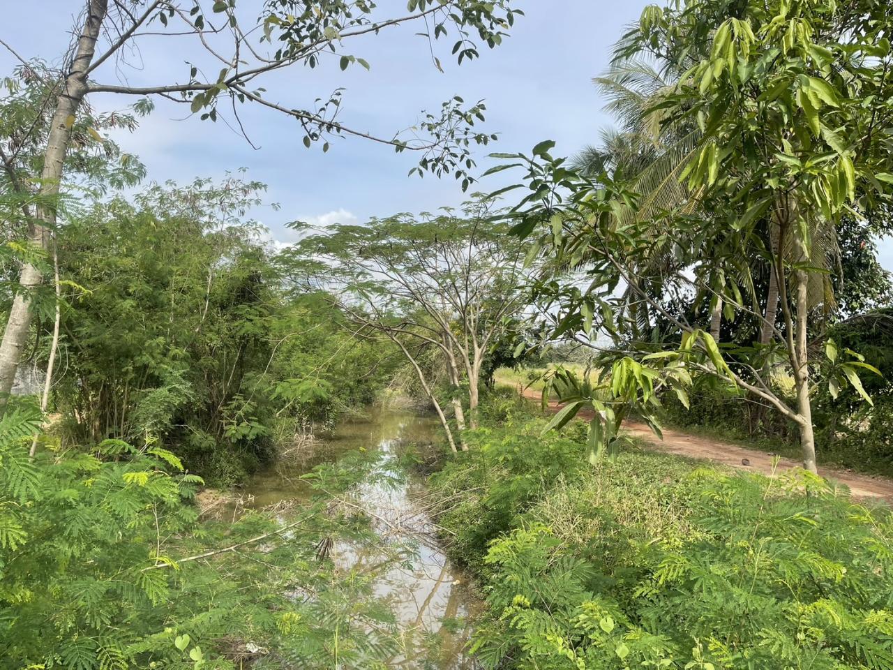 ภาพประกอบที่ 7