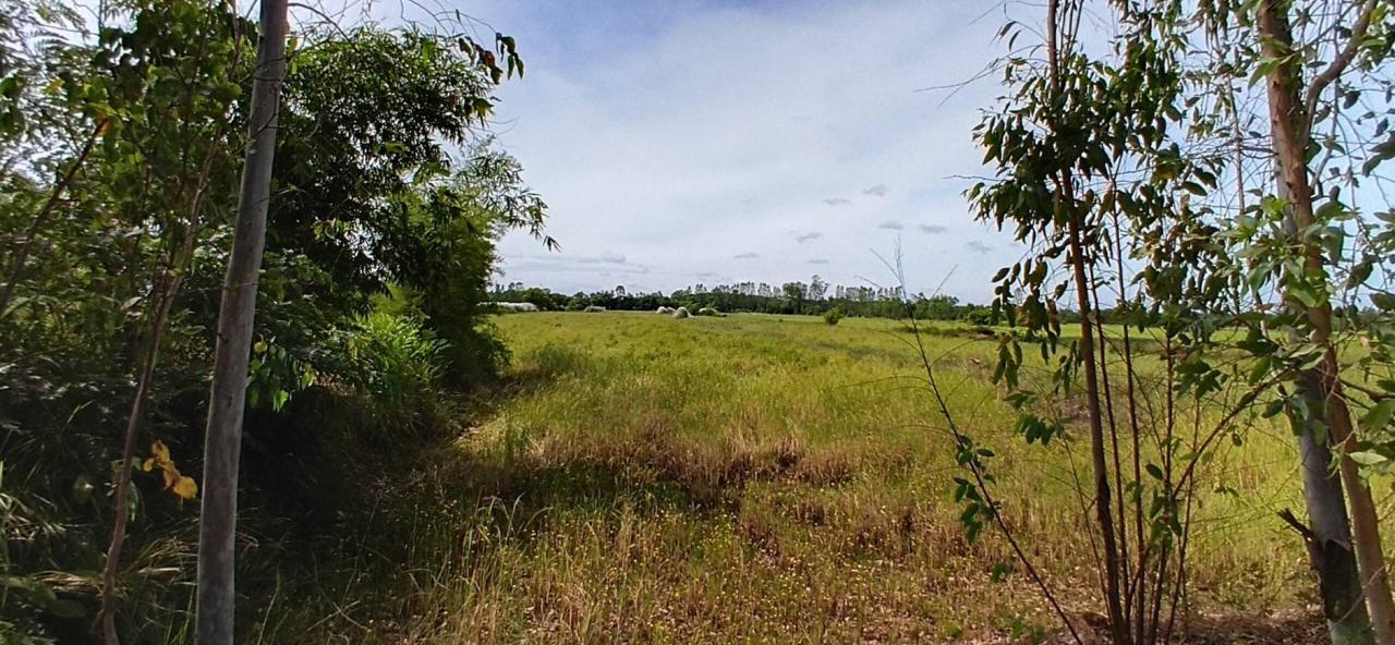 ภาพประกอบที่ 14