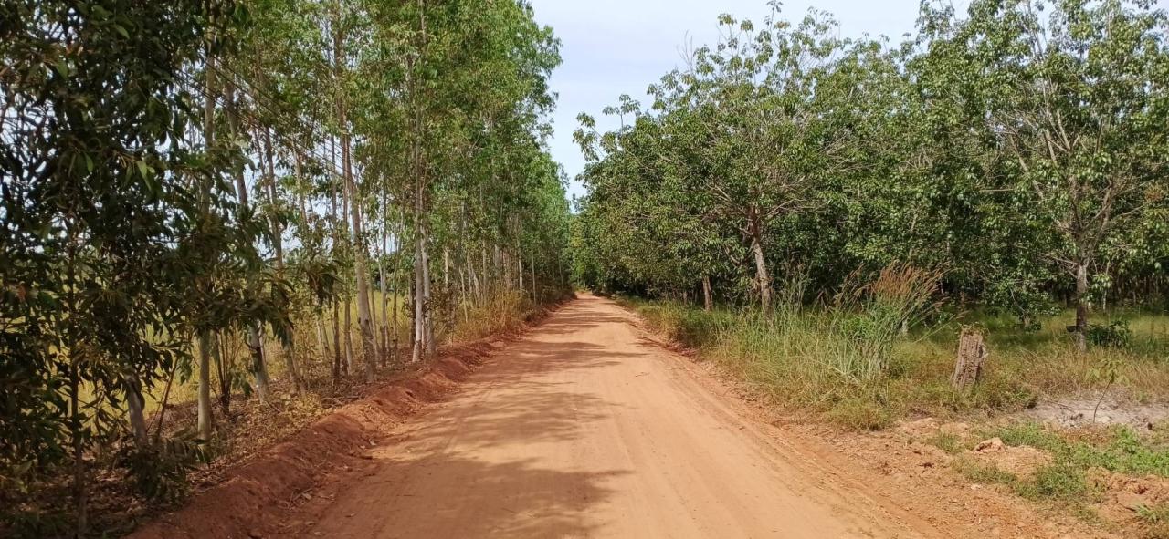 ภาพประกอบที่ 15