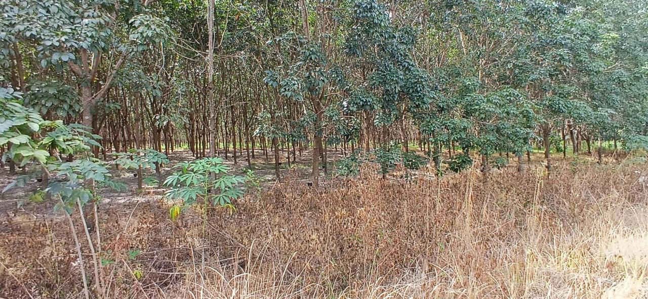 ภาพประกอบที่ 16