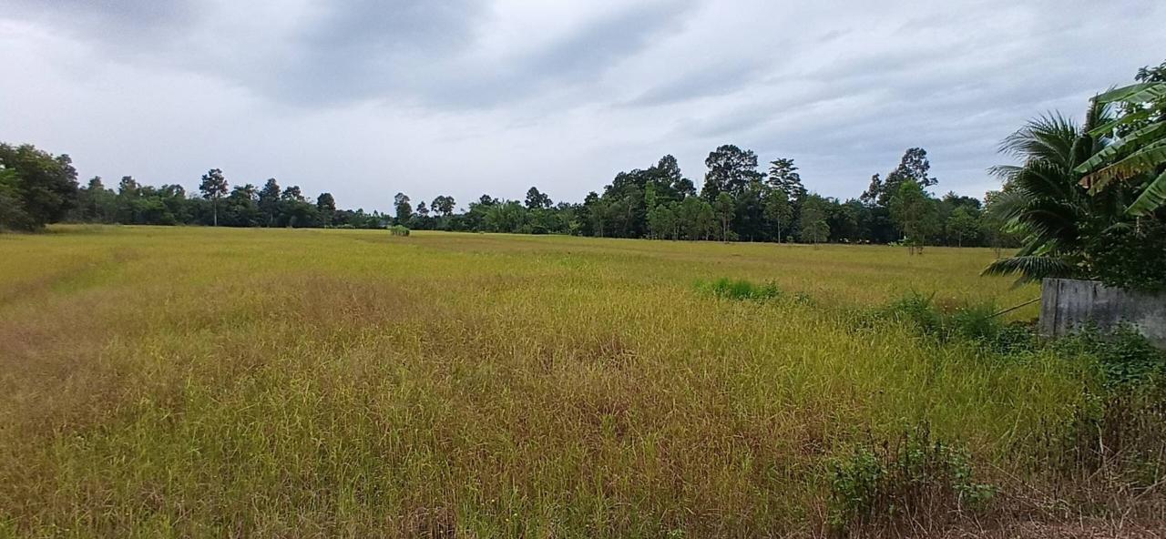 ภาพประกอบที่ 13