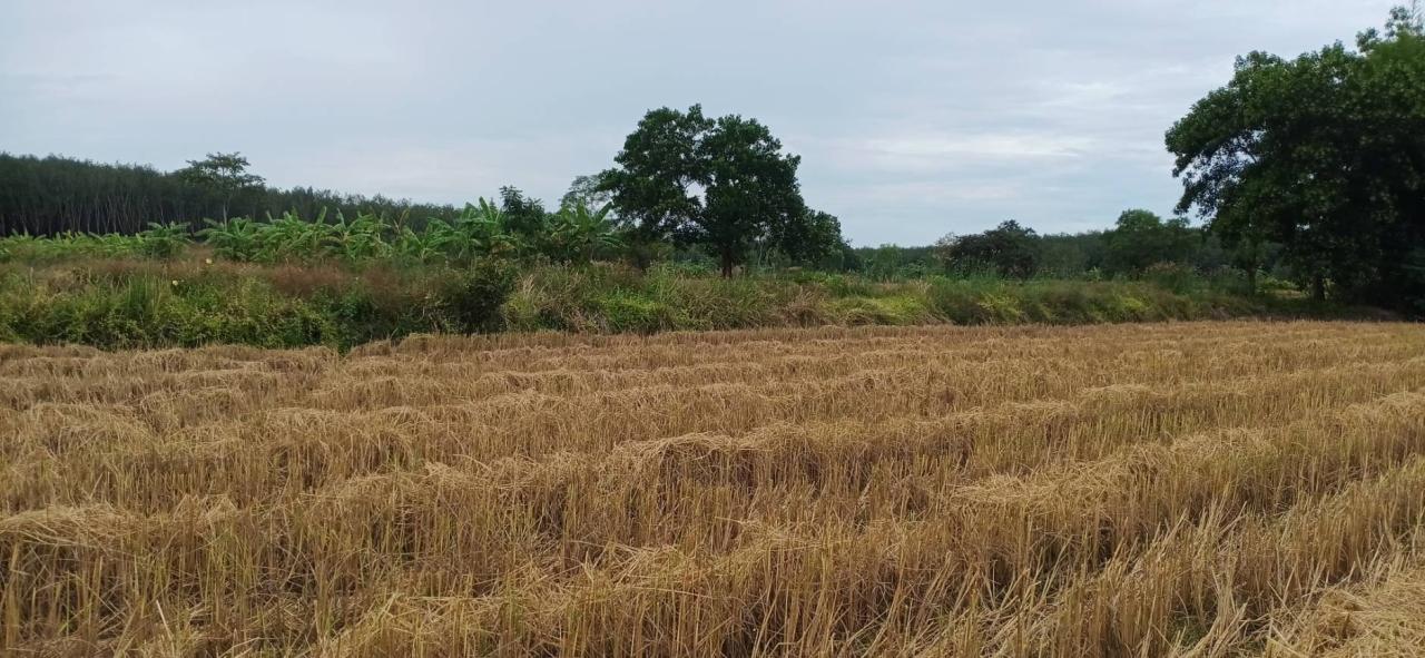 ภาพประกอบที่ 14