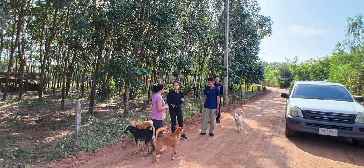 ภาพประกอบที่ 0