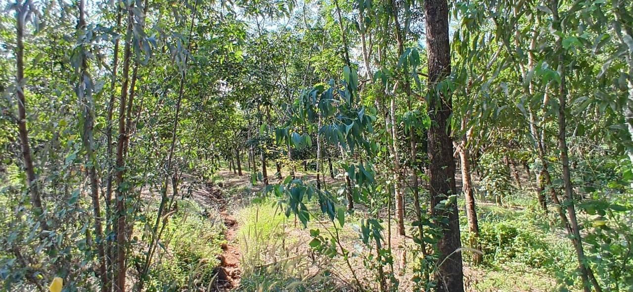 ภาพประกอบที่ 14