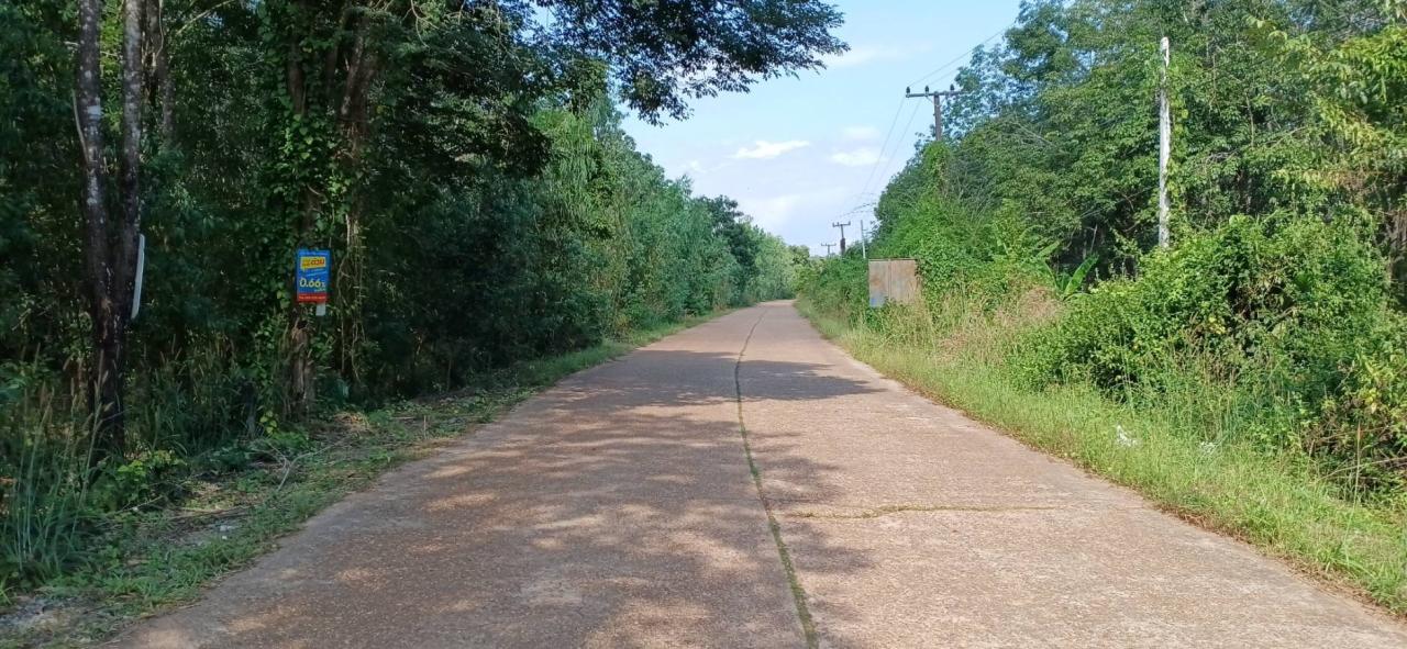 ภาพประกอบที่ 15