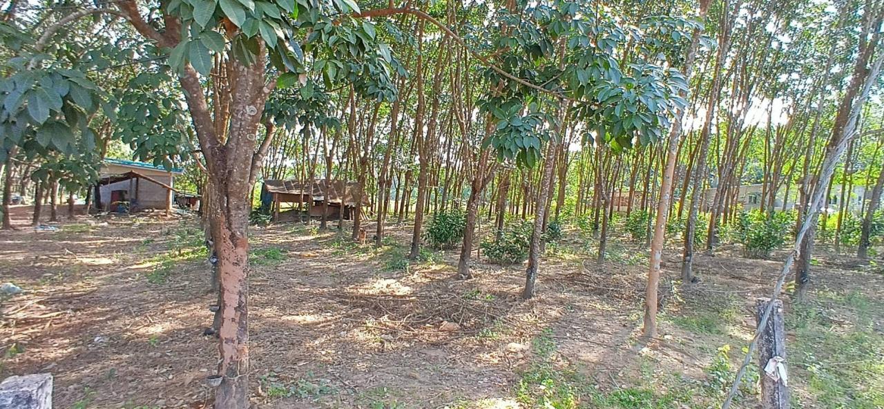 ภาพประกอบที่ 16