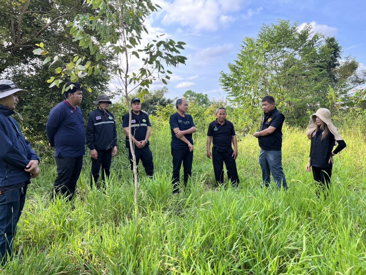 ภาพประกอบที่ 0